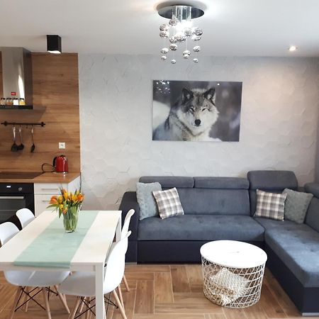 Apartamenty Pod Dzikowcem Boguszów-Gorce Extérieur photo