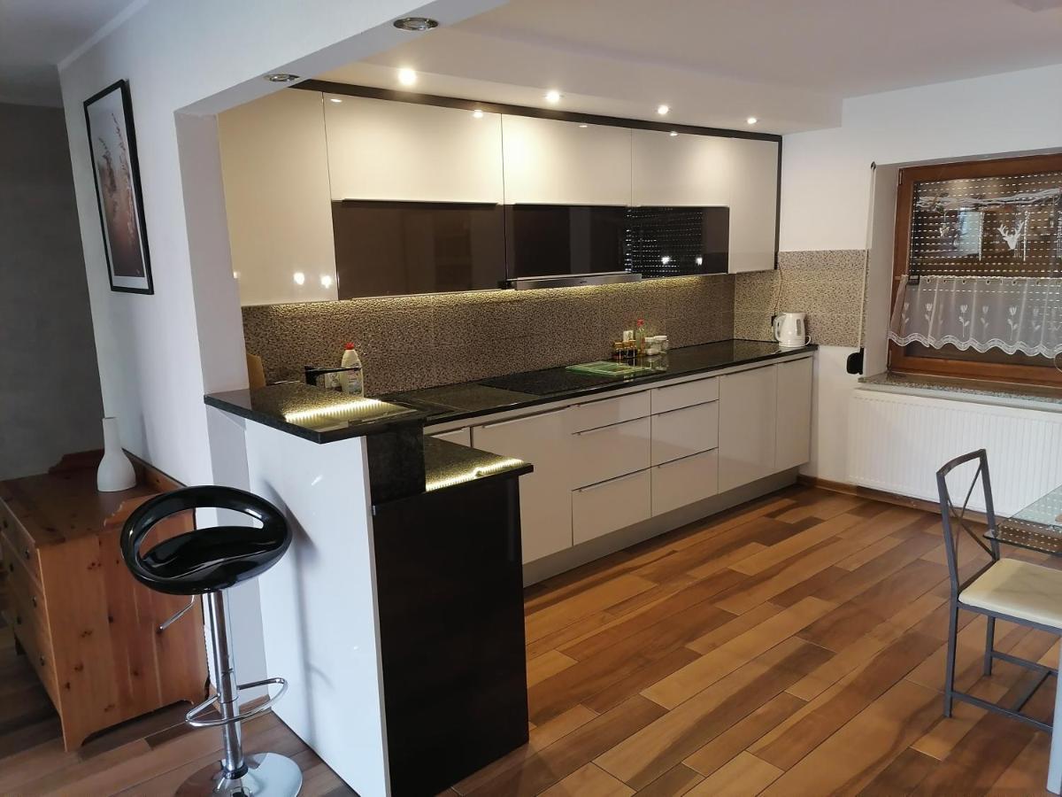 Apartamenty Pod Dzikowcem Boguszów-Gorce Extérieur photo