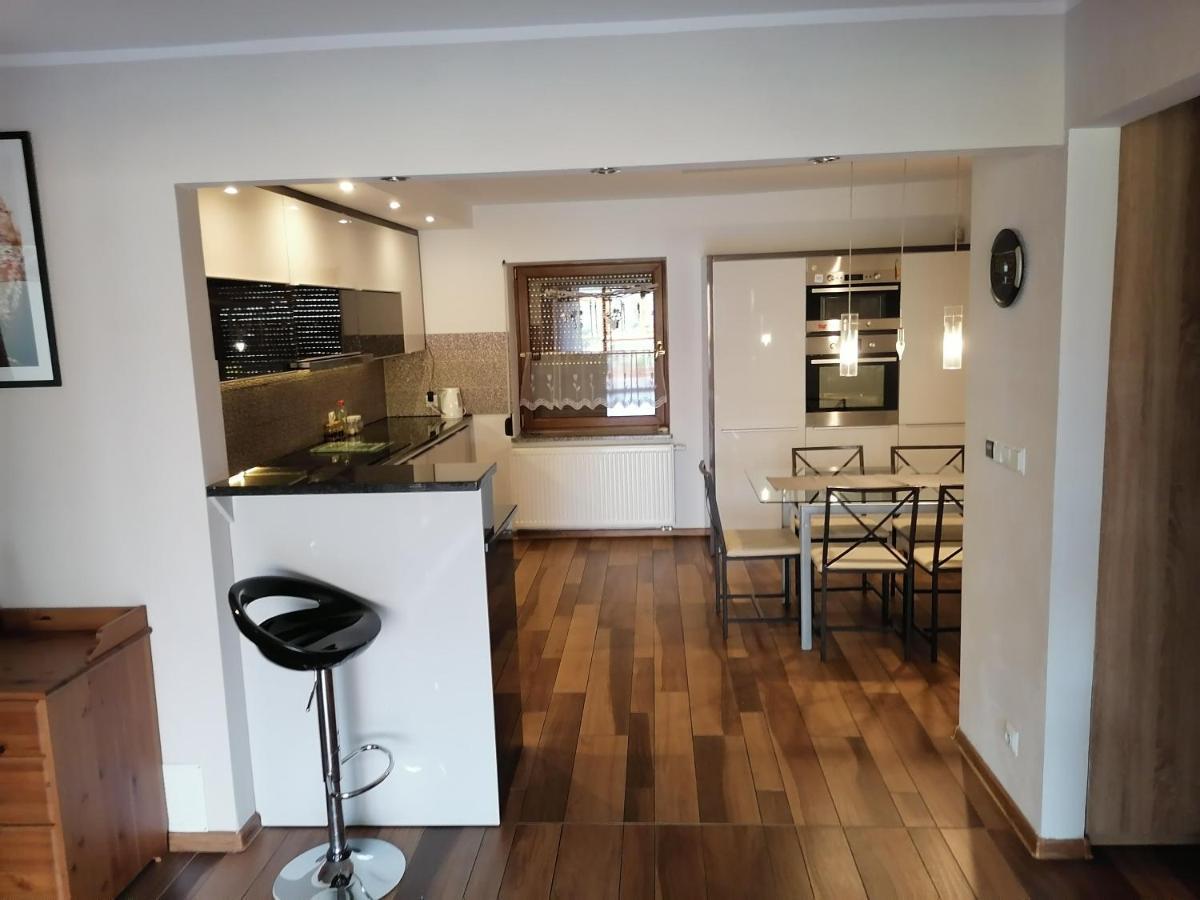 Apartamenty Pod Dzikowcem Boguszów-Gorce Extérieur photo