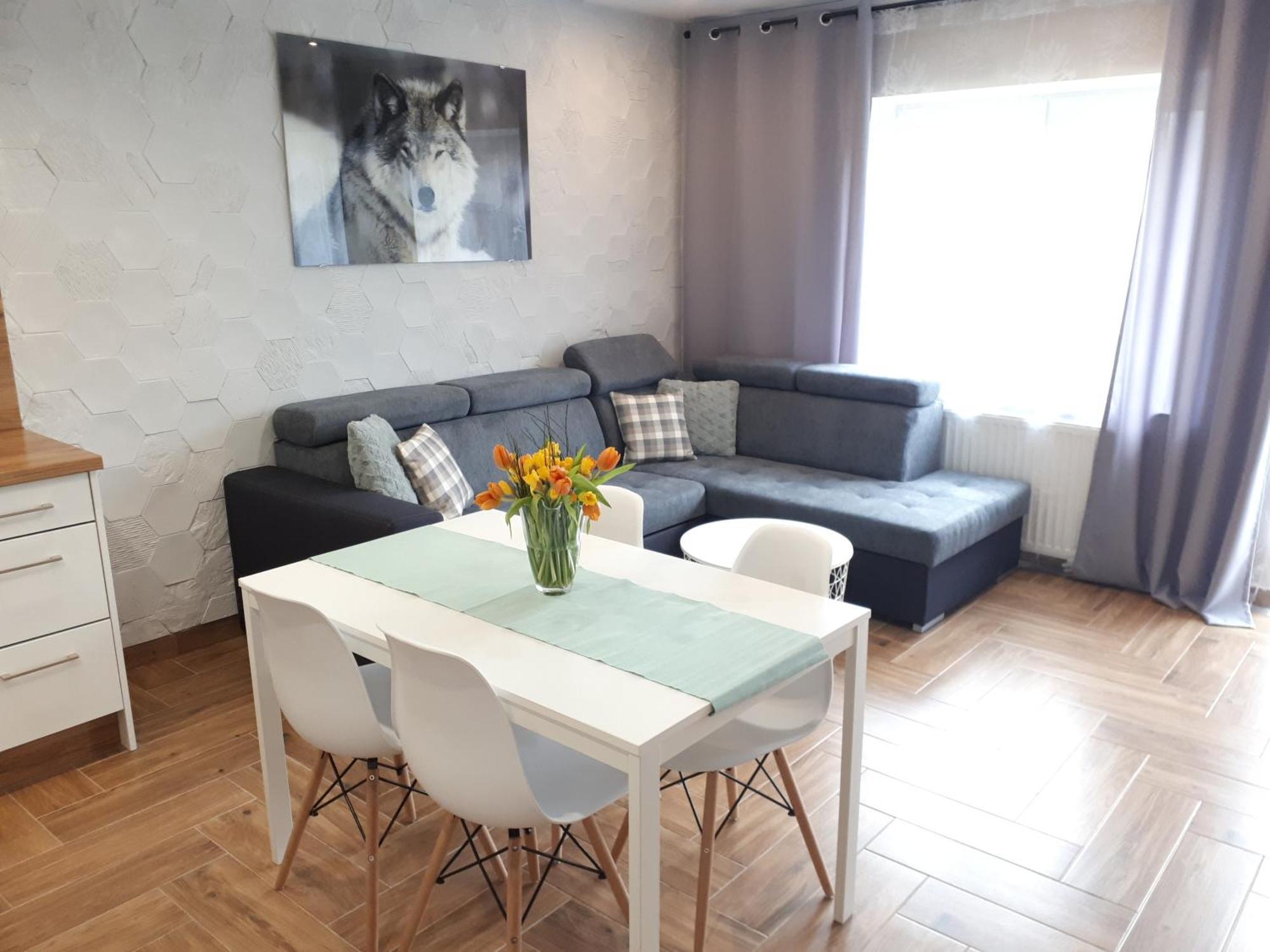 Apartamenty Pod Dzikowcem Boguszów-Gorce Extérieur photo