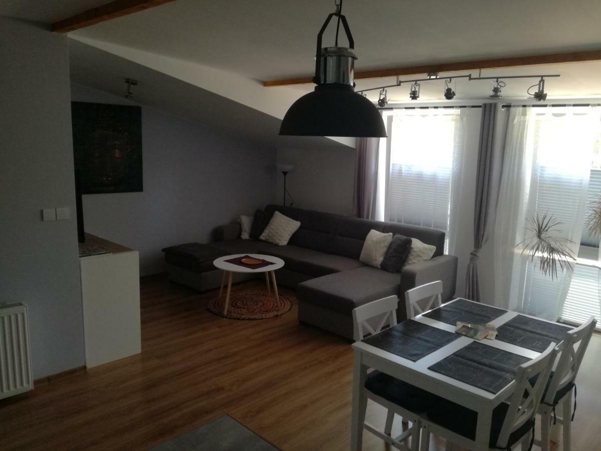 Apartamenty Pod Dzikowcem Boguszów-Gorce Extérieur photo